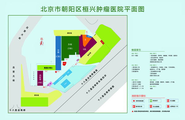 大鸡巴插小穴网站北京市朝阳区桓兴肿瘤医院平面图